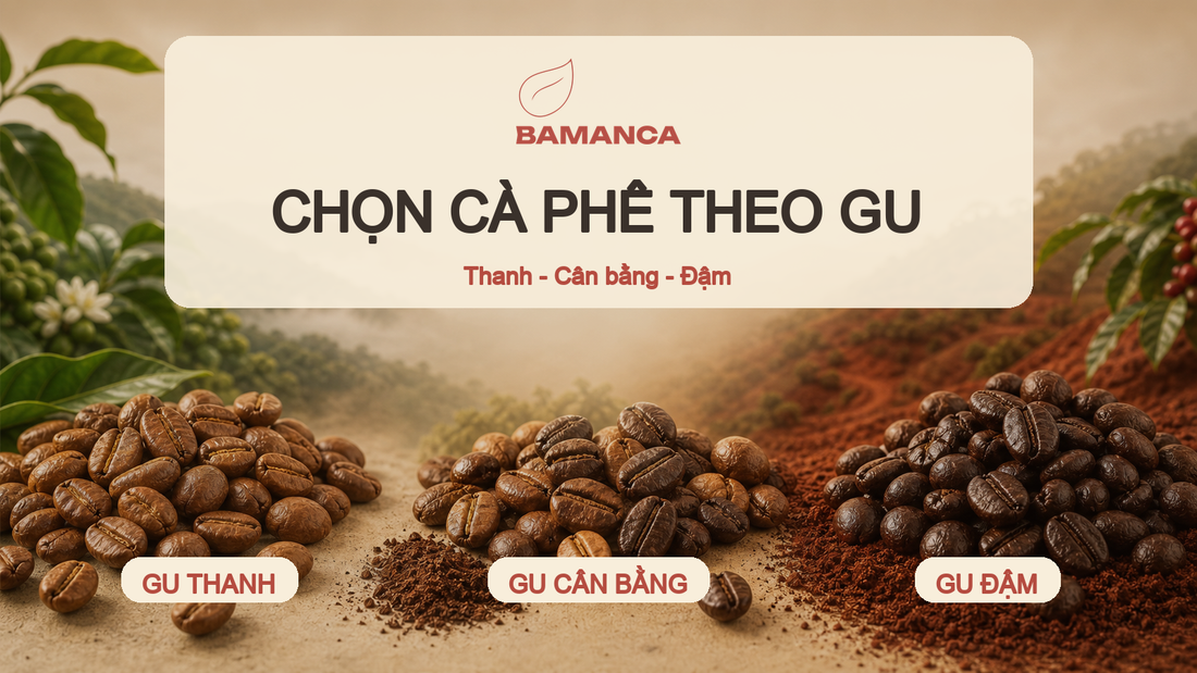 Chọn cà phê theo gu: thanh, cân bằng hay đậm?